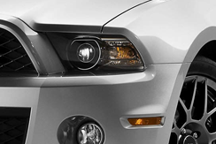Shelby GT500 Shelby GT500