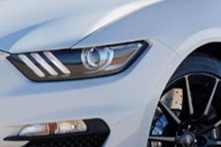 Shelby GT350