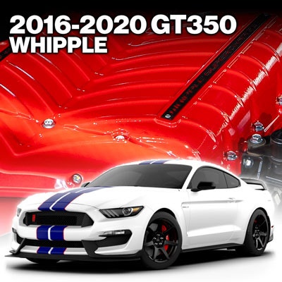 Whipple GT350 Kits