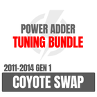 Palm Beach Dyno Remote Tuning Package for Coyote Swap Gen 1